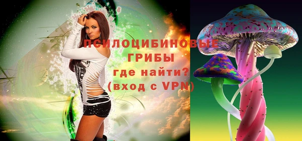 apvp Алзамай