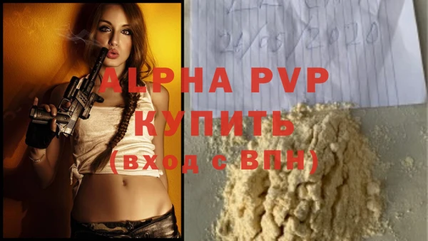 a pvp Ростов