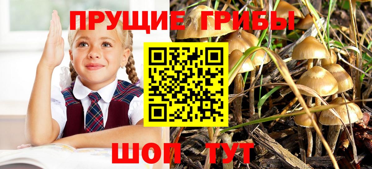 Галлюциногенные грибы мухоморы  Псилоцибиновые грибы Psilocybine cubensis  Вход с VPN  Белая Калитва 
