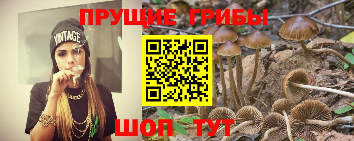 Псилоцибиновые грибы ЛСД Белая Калитва